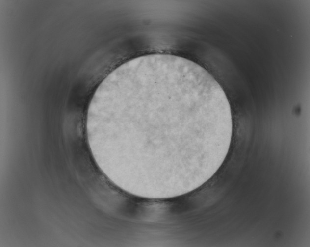 X0000115800313200912241858