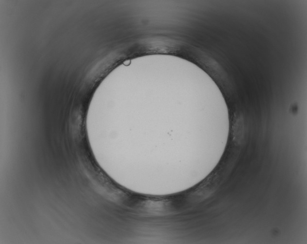 X0000115800314200912241858