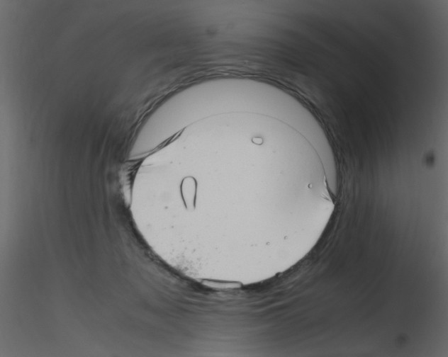 X0000115800317200912241858