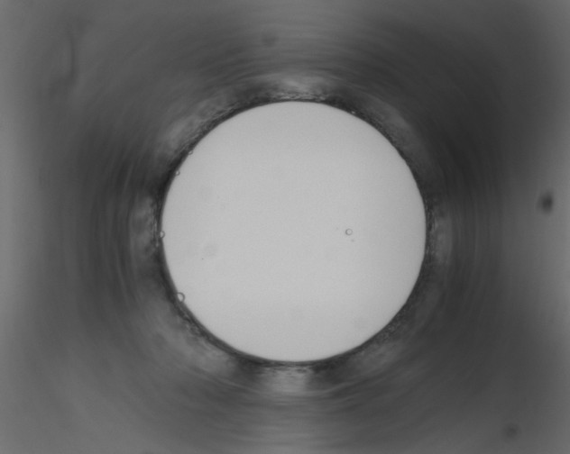 X0000115800318200912241858