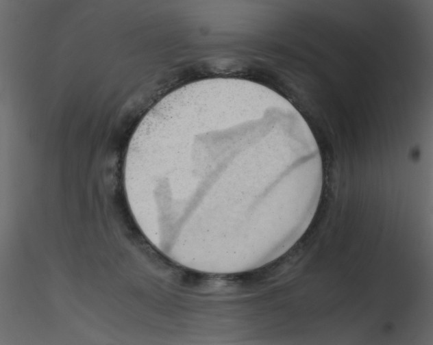 X0000115800319200912241858