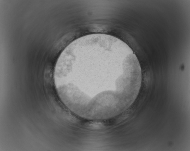 X0000115800322200912241858