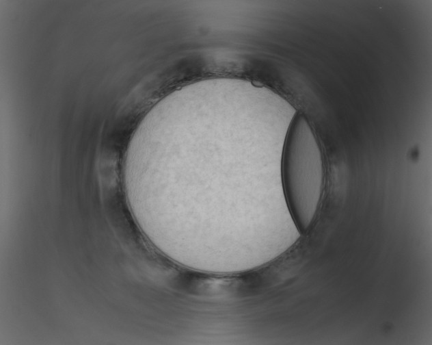 X0000115800323200912241858