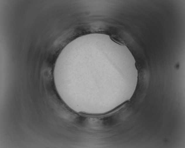 X0000115800327200912241858