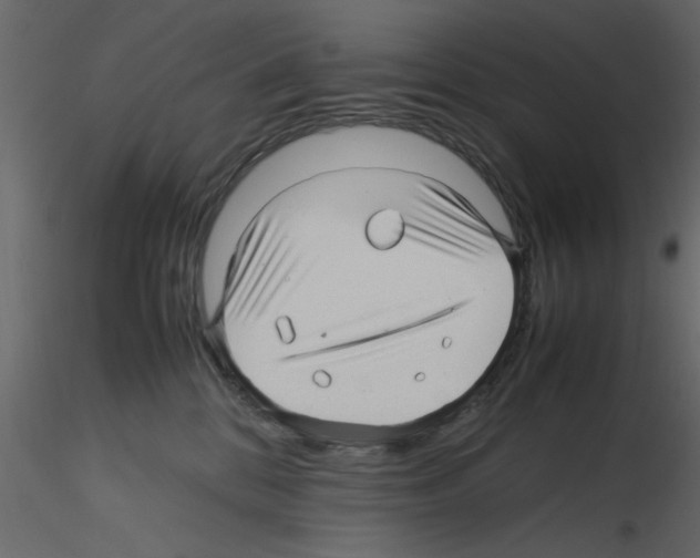 X0000115800328200912241858