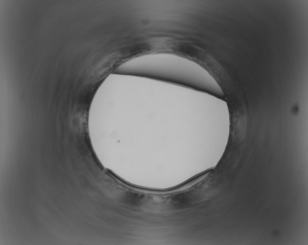 X0000115800329200912241858