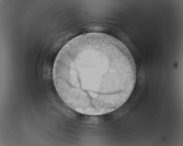 X0000115800330200912241858