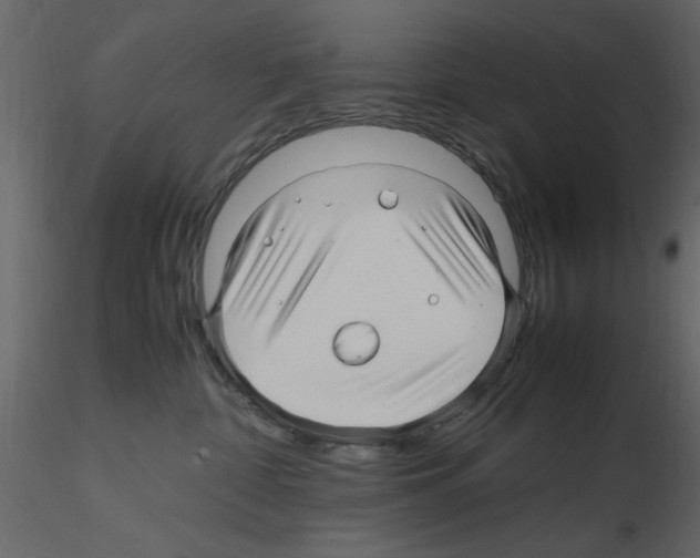 X0000115800332200912241858