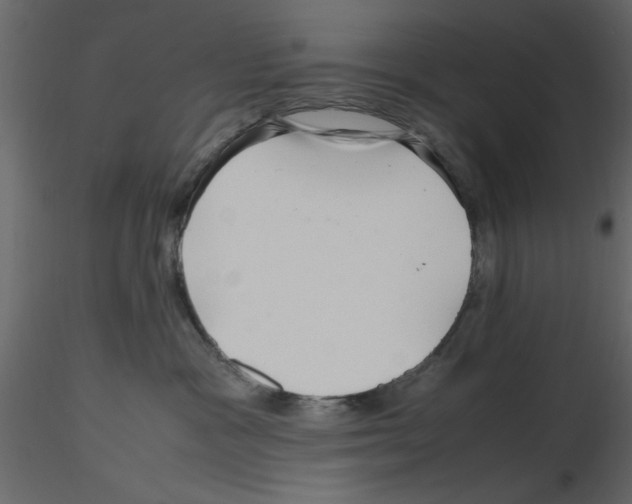 X0000115800333200912241858