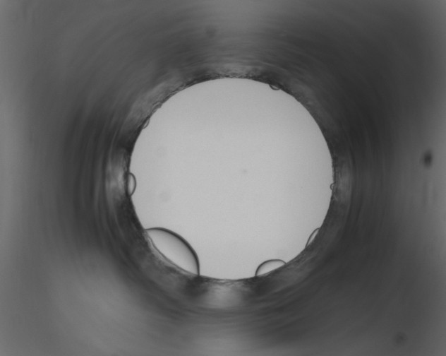 X0000115800334200912241858