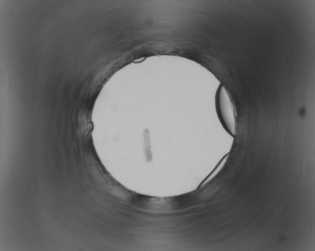 X0000115800335200912241858