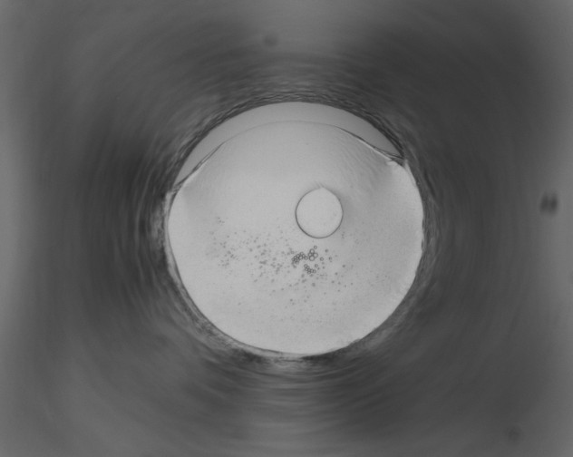 X0000115800336200912241858