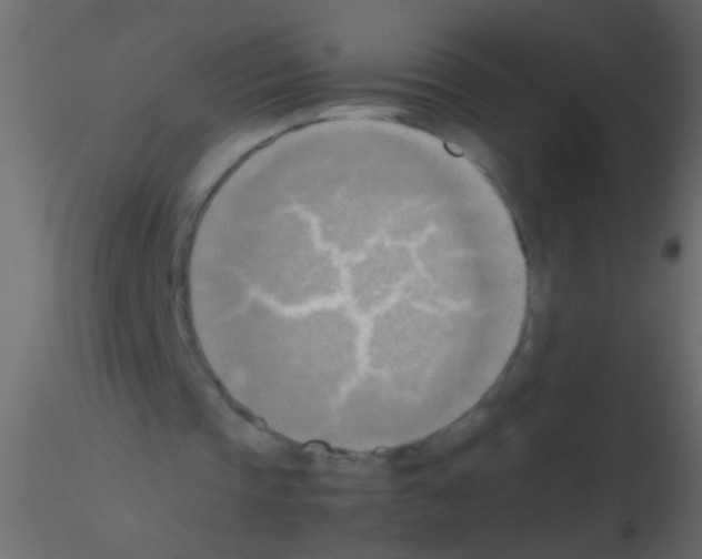 X0000115800337200912241857