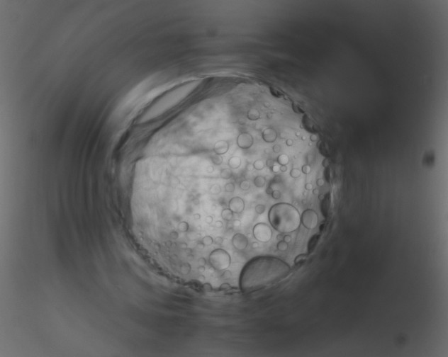 X0000115800339200912241857