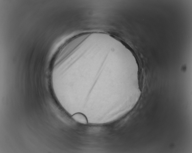 X0000115800342200912241857