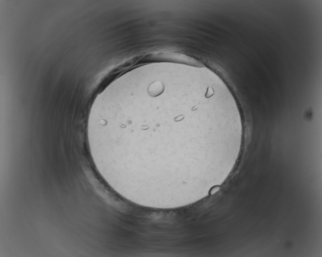 X0000115800345200912241857