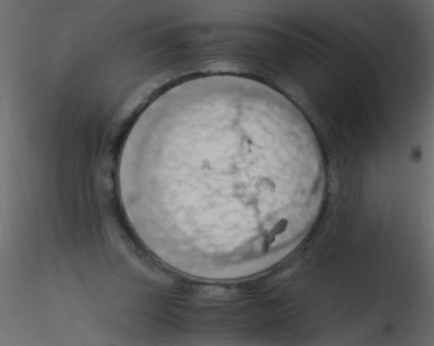 X0000115800347200912241857