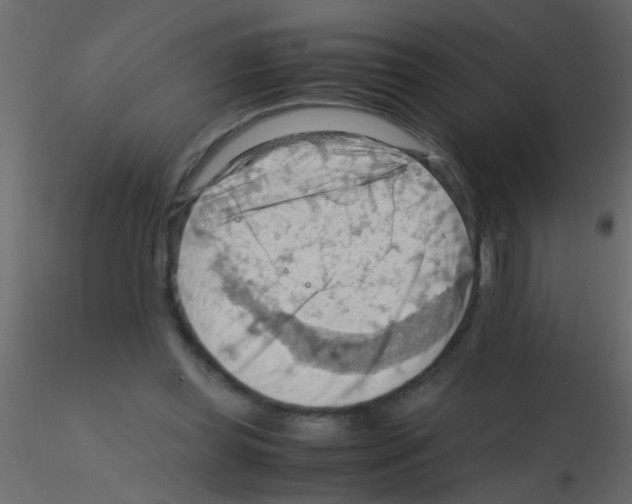 X0000115800349200912241858