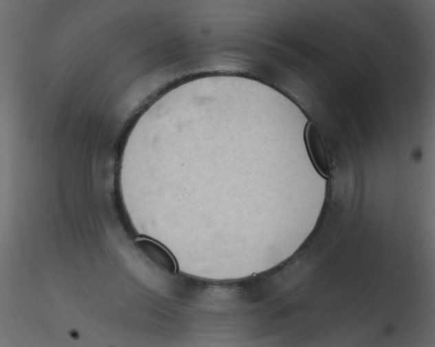 X0000115800350200912241858