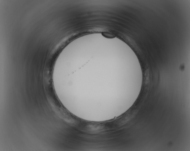 X0000115800351200912241858