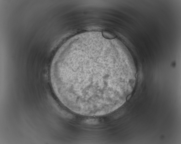 X0000115800353200912241858