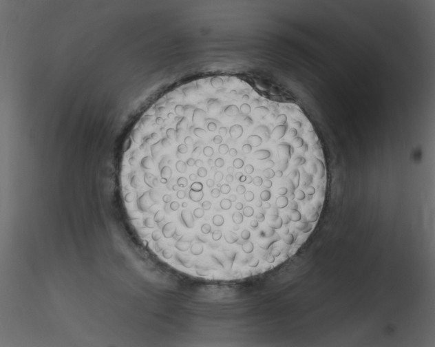 X0000115800354200912241858