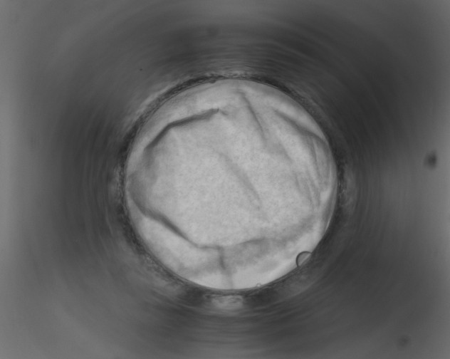 X0000115800355200912241858