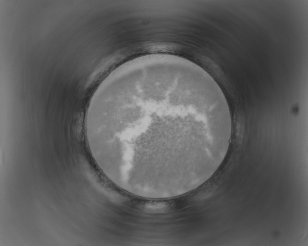 X0000115800357200912241858