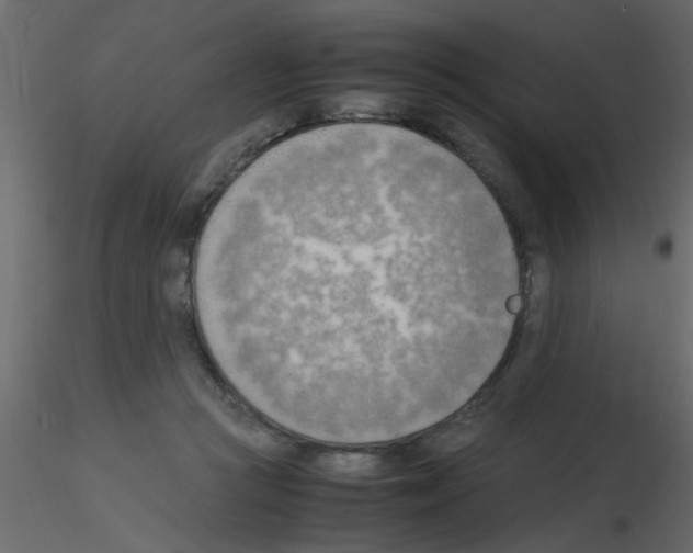 X0000115800361200912241858