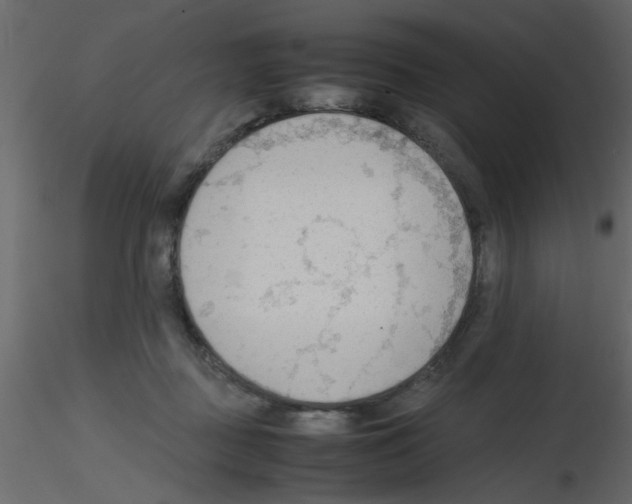 X0000115800363200912241858