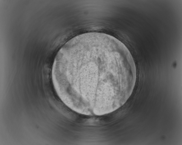 X0000115800366200912241858