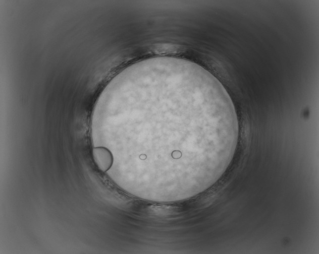 X0000115800367200912241858