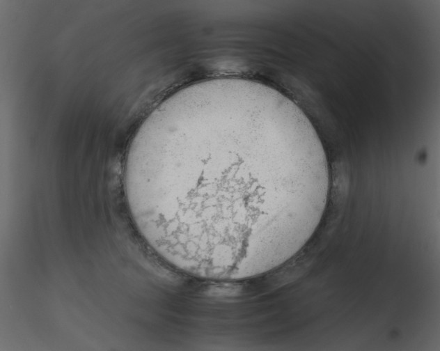 X0000115800369200912241858