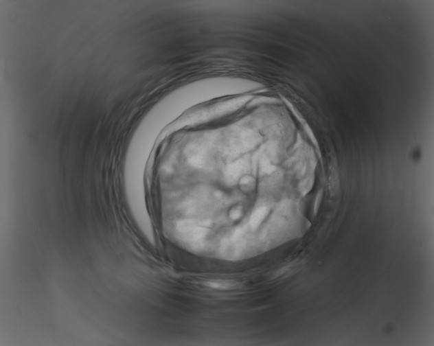 X0000115800371200912241858