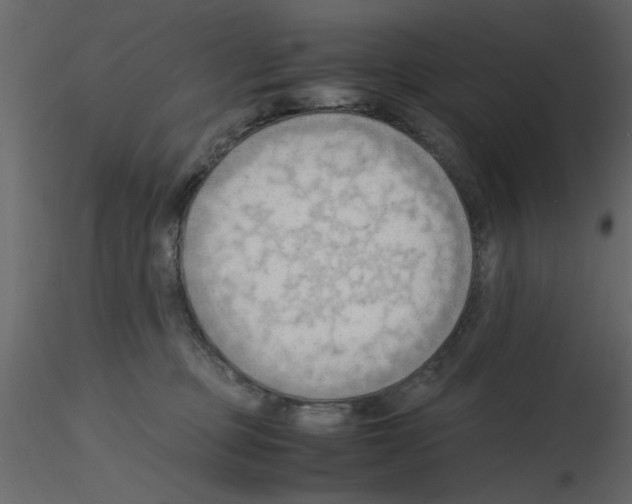 X0000115800373200912241858