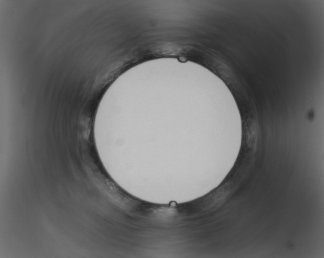 X0000115800374200912241858