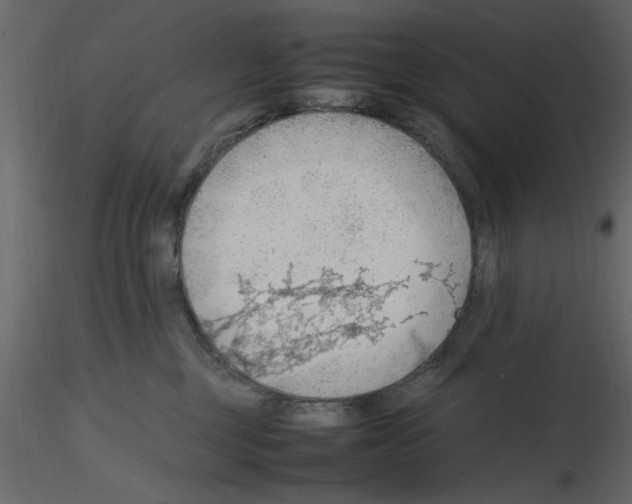 X0000115800377200912241858