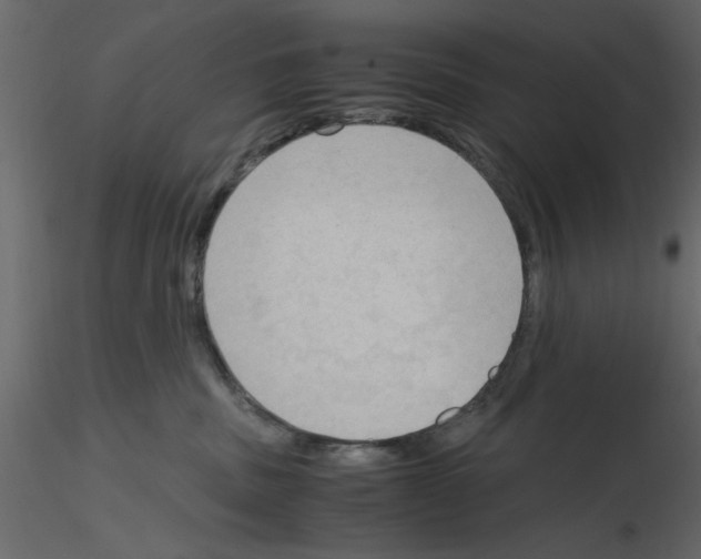 X0000115800379200912241858