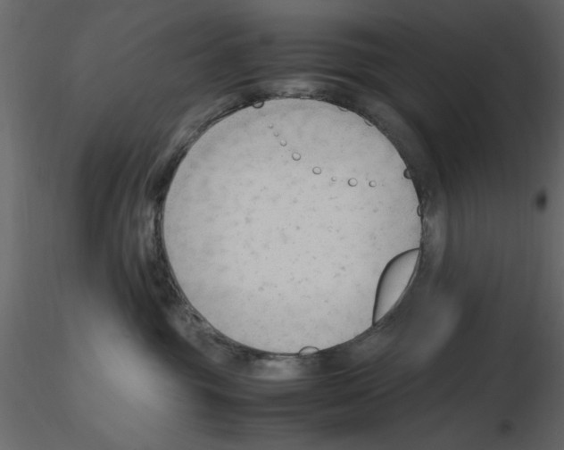 X0000115800381200912241858