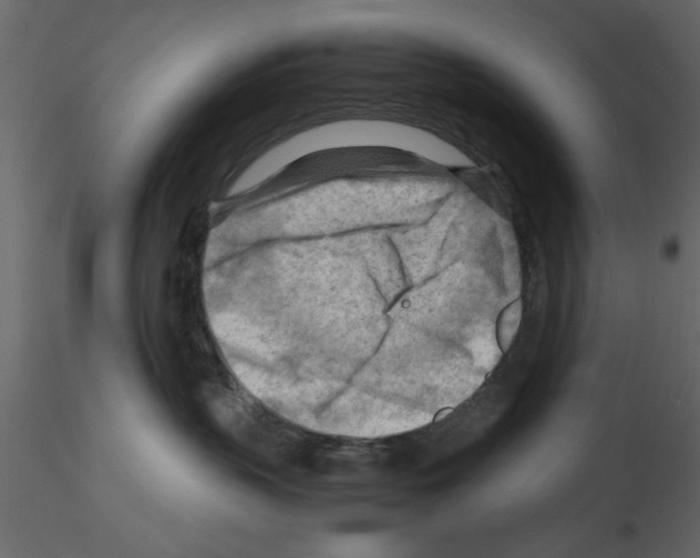 X0000115800383200912241858