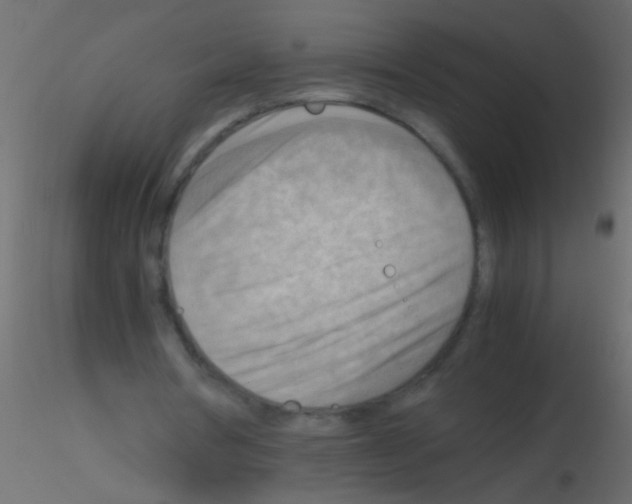 X0000115800386200912241857