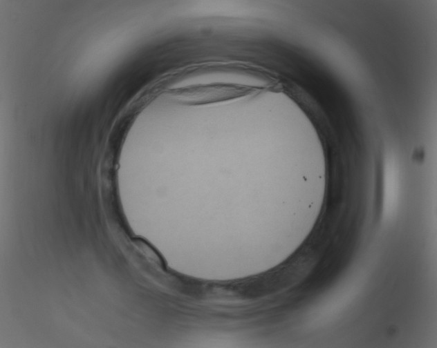 X0000115800387200912241857