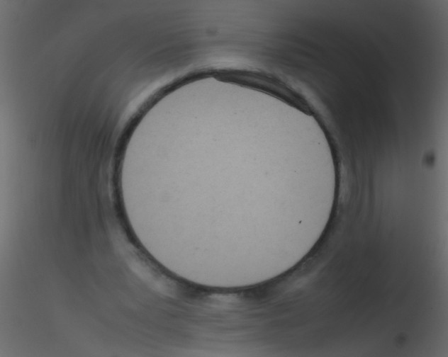 X0000115800391200912241857