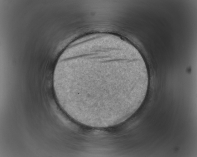 X0000115800393200912241857