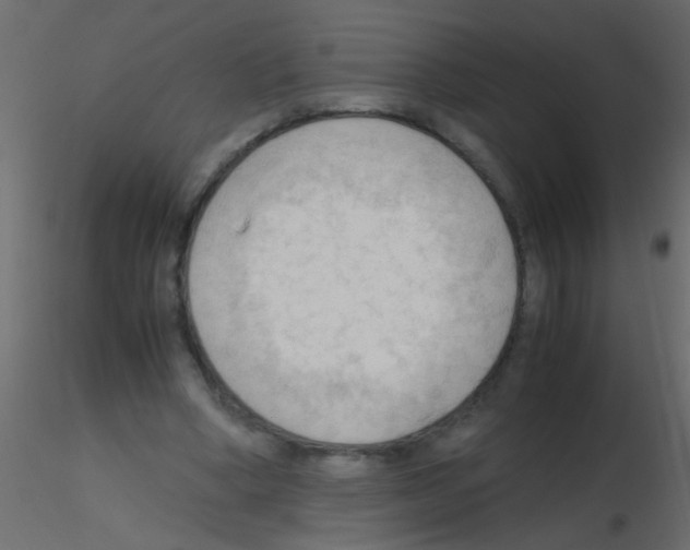 X0000115800394200912241857