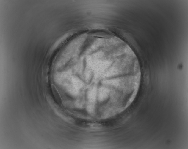 X0000115800395200912241857