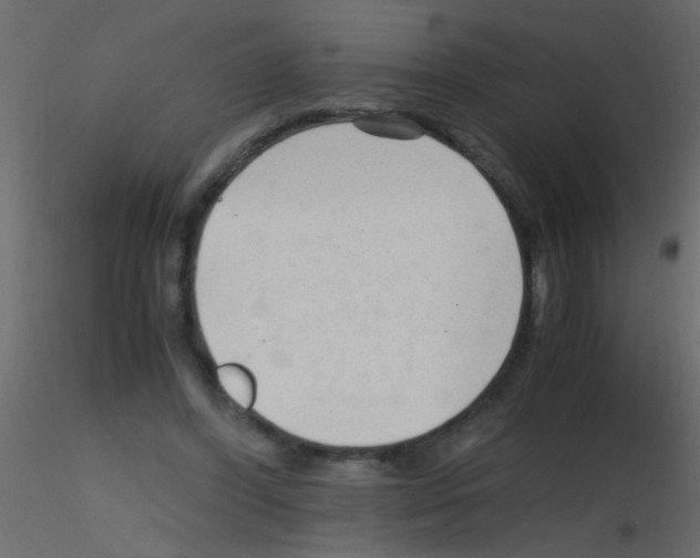 X0000115800396200912241857