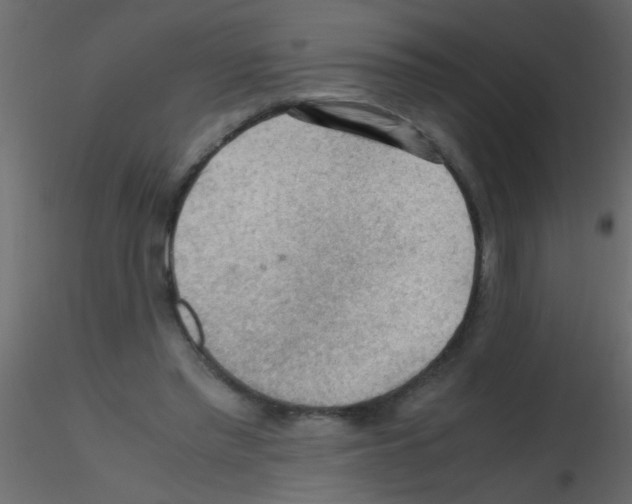 X0000115800397200912241857