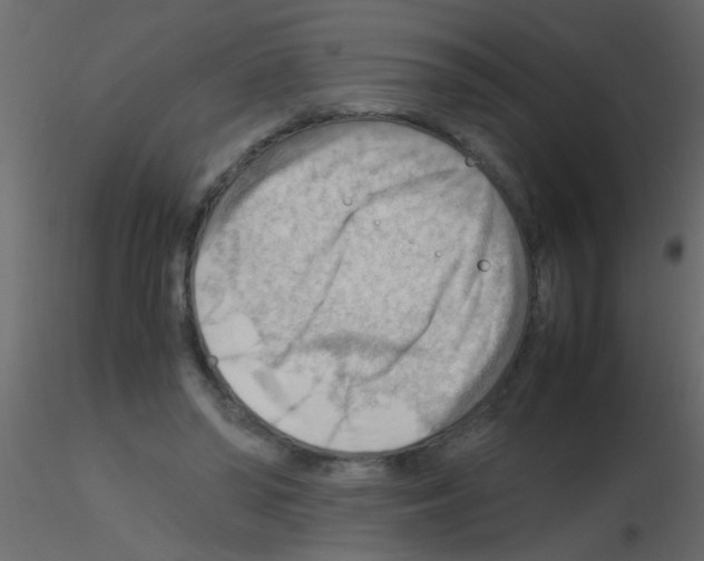 X0000115800398200912241857