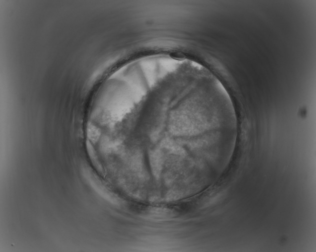 X0000115800399200912241857